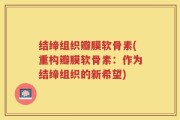 结缔组织瓣膜软骨素(重构瓣膜软骨素：作为结缔组织的新希望)