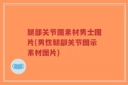 腿部关节图素材男士图片(男性腿部关节图示素材图片)