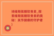 诗维斯氨糖软骨素_探索维斯氨糖软骨素的奥秘：关节健康的守护者)