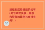 腿粗和屁股链接的关节(关节紧密关联，腿部和臀部的比例与身材有关！)