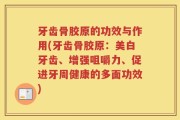 牙齿骨胶原的功效与作用(牙齿骨胶原：美白牙齿、增强咀嚼力、促进牙周健康的多面功效)