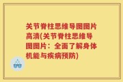 关节脊柱思维导图图片高清(关节脊柱思维导图图片：全面了解身体机能与疾病预防)