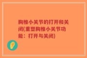 胸椎小关节的打开和关闭(重塑胸椎小关节功能：打开与关闭)