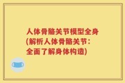 人体骨骼关节模型全身(解析人体骨骼关节：全面了解身体构造)