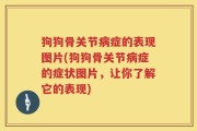 狗狗骨关节病症的表现图片(狗狗骨关节病症的症状图片，让你了解它的表现)