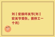 刘畊宏损坏关节(刘畊宏关节受伤，需停工一个月)