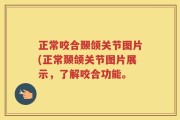 正常咬合颞颌关节图片(正常颞颌关节图片展示，了解咬合功能。