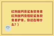 红狗肽钙膏鲨鱼软骨素红狗肽钙膏搭配鲨鱼软骨素护骨，你还在等什么？)