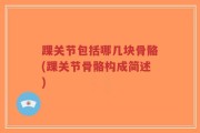 踝关节包括哪几块骨骼(踝关节骨骼构成简述)