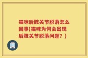 猫咪后肢关节脱落怎么回事(猫咪为何会出现后肢关节脱落问题？)