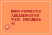 腰椎关节名称图片大全大图(全面解析腰椎关节名称，详解大图供参考)