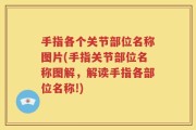 手指各个关节部位名称图片(手指关节部位名称图解，解读手指各部位名称!)
