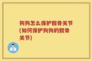狗狗怎么保护髋骨关节(如何保护狗狗的髋骨关节)