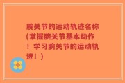 腕关节的运动轨迹名称(掌握腕关节基本动作！学习腕关节的运动轨迹！)