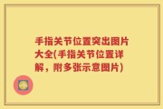手指关节位置突出图片大全(手指关节位置详解，附多张示意图片)