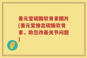善元堂硫酸软骨素图片(善元堂推出硫酸软骨素，助您改善关节问题)