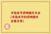手指关节透明图片大全(手指关节的透明图片合集分享)