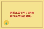 狗前爪关节平了(狗狗前爪关节矫正成功)