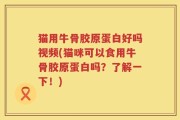 猫用牛骨胶原蛋白好吗视频(猫咪可以食用牛骨胶原蛋白吗？了解一下！)