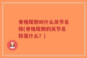 脊椎尾侧叫什么关节名称(脊椎尾侧的关节名称是什么？)