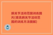 腕关节活动范围训练图片(提高腕关节活动范围的训练方法图解)