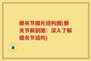 滕关节图片结构图(滕关节解剖图：深入了解膝关节结构)