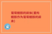 葡萄糖胺的前体(重构糖胺作为葡萄糖胺的前身)