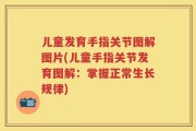 儿童发育手指关节图解图片(儿童手指关节发育图解：掌握正常生长规律)