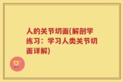 人的关节切面(解剖学练习：学习人类关节切面详解)