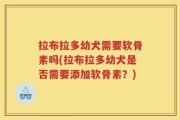 拉布拉多幼犬需要软骨素吗(拉布拉多幼犬是否需要添加软骨素？)