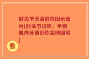 肘关节分离锻炼图示图片(肘关节训练：手臂肌肉分离锻炼实例图解)