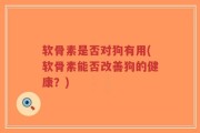 软骨素是否对狗有用(软骨素能否改善狗的健康？)