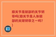 膝关节是腿部的关节韧带吗(膝关节是人体腿部的关键韧带之一吗？)