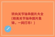 转向关节轴承图片大全(精美关节轴承图片集锦，一网打尽！)