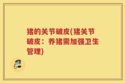 猪的关节破皮(猪关节破皮：养猪需加强卫生管理)