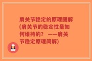 肩关节稳定的原理图解(肩关节的稳定性是如何维持的？ ——肩关节稳定原理简解)