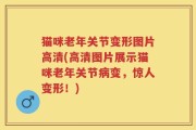 猫咪老年关节变形图片高清(高清图片展示猫咪老年关节病变，惊人变形！)