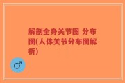 解剖全身关节图 分布图(人体关节分布图解析)
