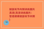 腿部关节内侧训练图片高清(高清训练图片：塑造健康腿部关节内侧)