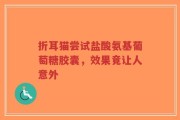 折耳猫尝试盐酸氨基葡萄糖胶囊，效果竟让人意外