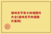 猫咪关节有小肉瘤图片大全(猫咪关节肉瘤图片集锦)