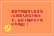 膝关节解剖真人图高清(高清真人图解剖膝关节，轻松了解膝关节结构与功能！)