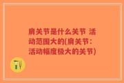 肩关节是什么关节 活动范围大的(肩关节：活动幅度极大的关节)