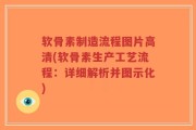软骨素制造流程图片高清(软骨素生产工艺流程：详细解析并图示化)