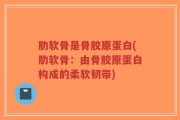 肋软骨是骨胶原蛋白(肋软骨：由骨胶原蛋白构成的柔软韧带)