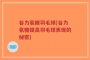 谷力氨糖羽毛球(谷力氨糖提高羽毛球表现的秘密)