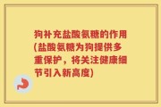 狗补充盐酸氨糖的作用(盐酸氨糖为狗提供多重保护，将关注健康细节引入新高度)
