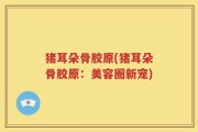 猪耳朵骨胶原(猪耳朵骨胶原：美容圈新宠)
