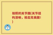 拍照的关节图(关节结构清晰，拍出完美图！)
