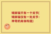 矮脚猫只有一个关节(矮脚猫仅有一处关节：神奇的身体构造)